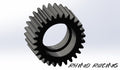 Rhino Racing 28T idler gear (high toughness material) 2pcs - RR-831