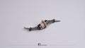 ARKEDGE AE24X Optional Parts CVD Straight Axle Set - aedfx24op009zz