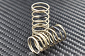 Reve D PC Rear Spring Medium (Pair) RD-010RM