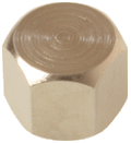 1/8 Female Blanking Cap - 43515