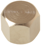 1/8 Female Blanking Cap - 43515