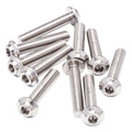 Pro Duty Titanium Screws - LowPro Head - M3x20 - 5pcs
