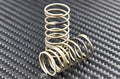 Reve D PC Rear Spring Medium (Pair) RD-010RM