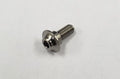 Reve D SPM titanium motor screw (2pk) RT-002